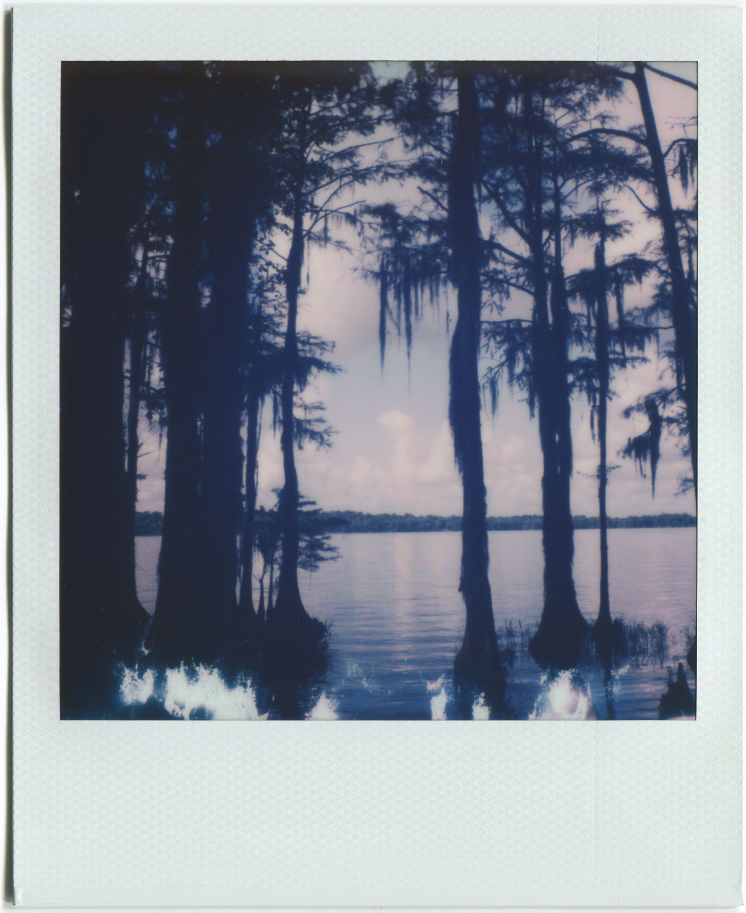 Florala, Alabama / Polaroid 600