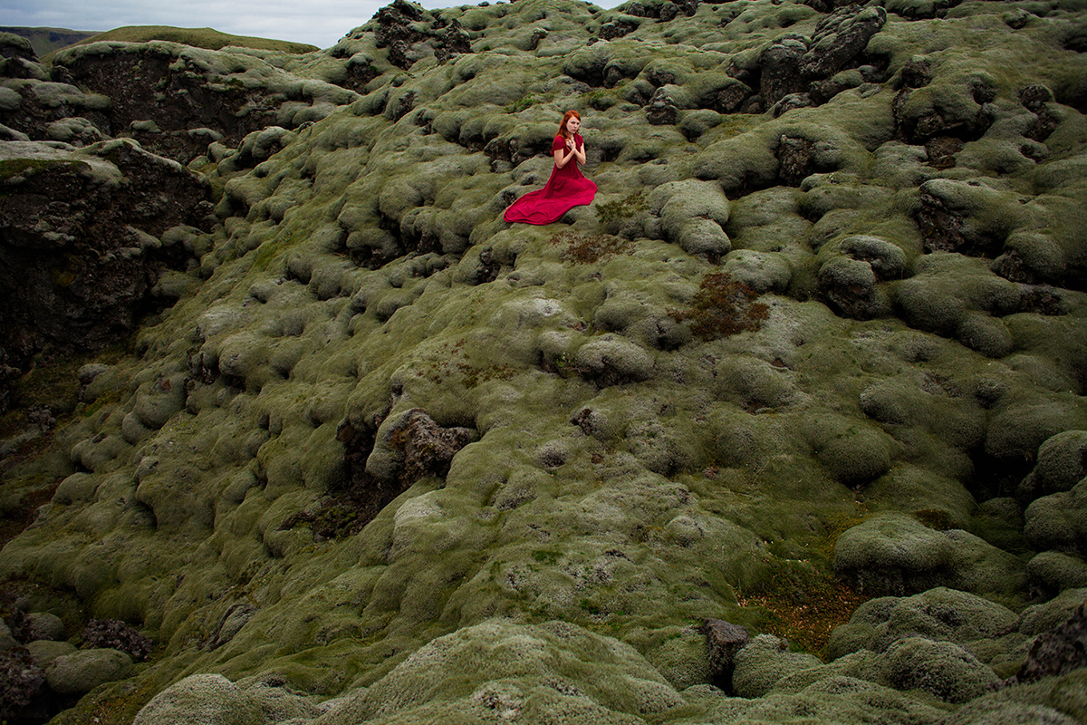 Moss-3.jpg