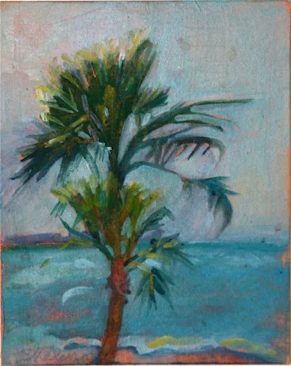 Sarasota Palm