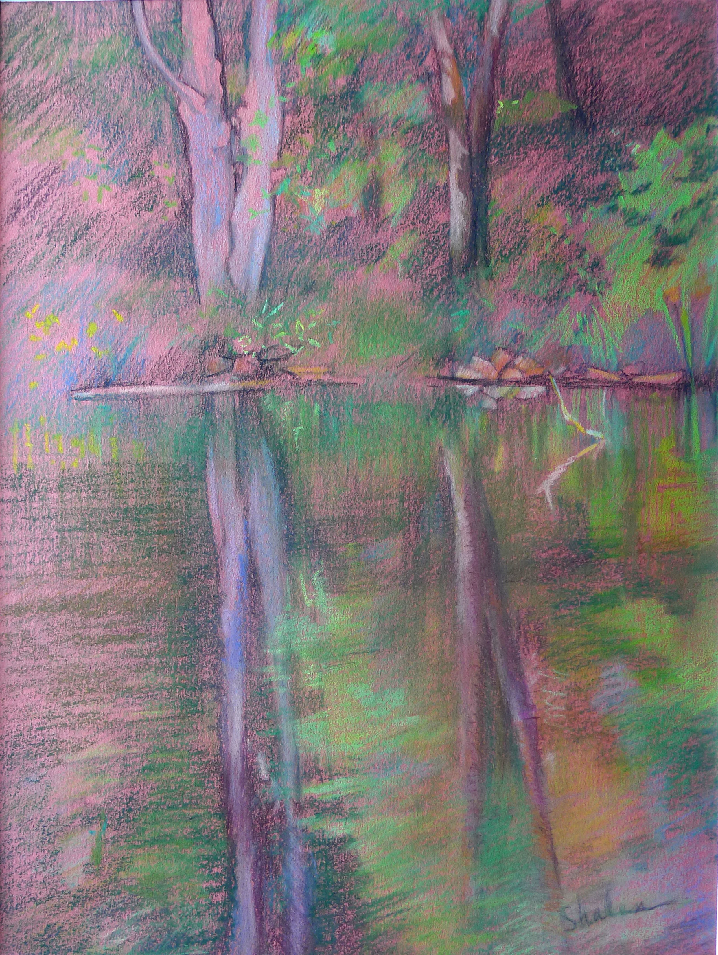 Waveny Park Reflections