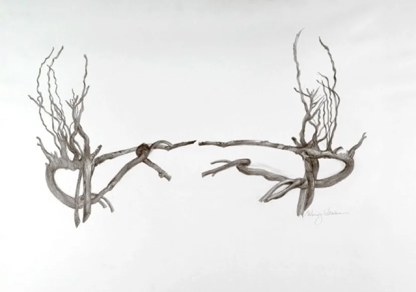 Hydrangea Roots, Quarrel