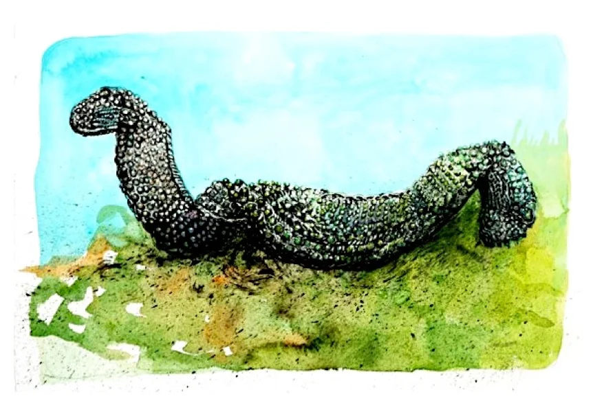 Snake Pearl Collar