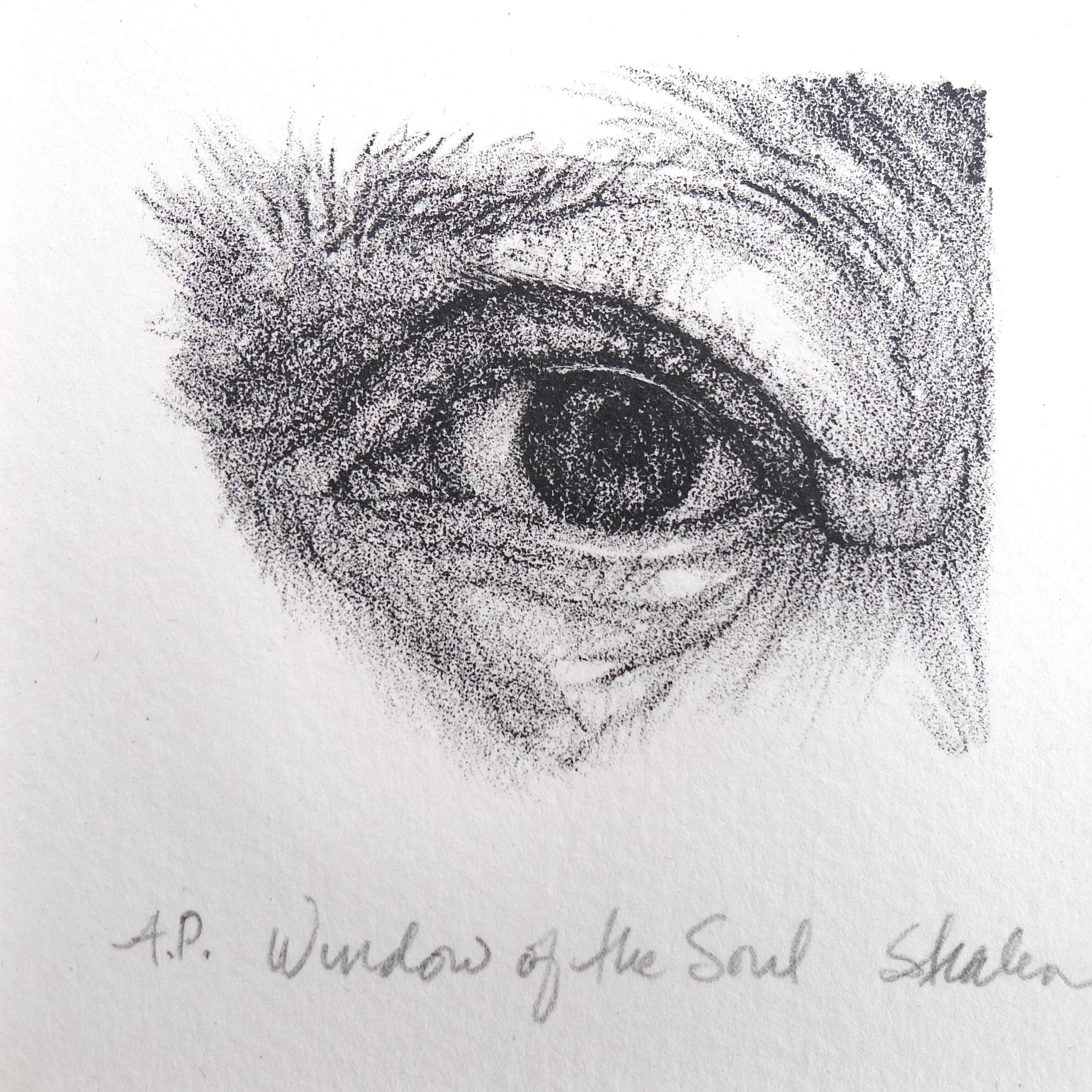 Window of the Soul