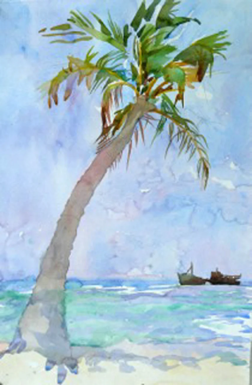 Punta Cana Palm