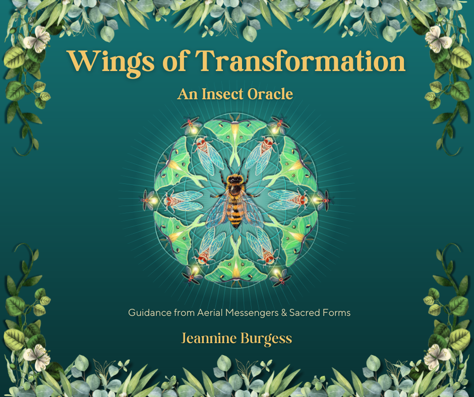 Jeannine Burgess Healing + Arts