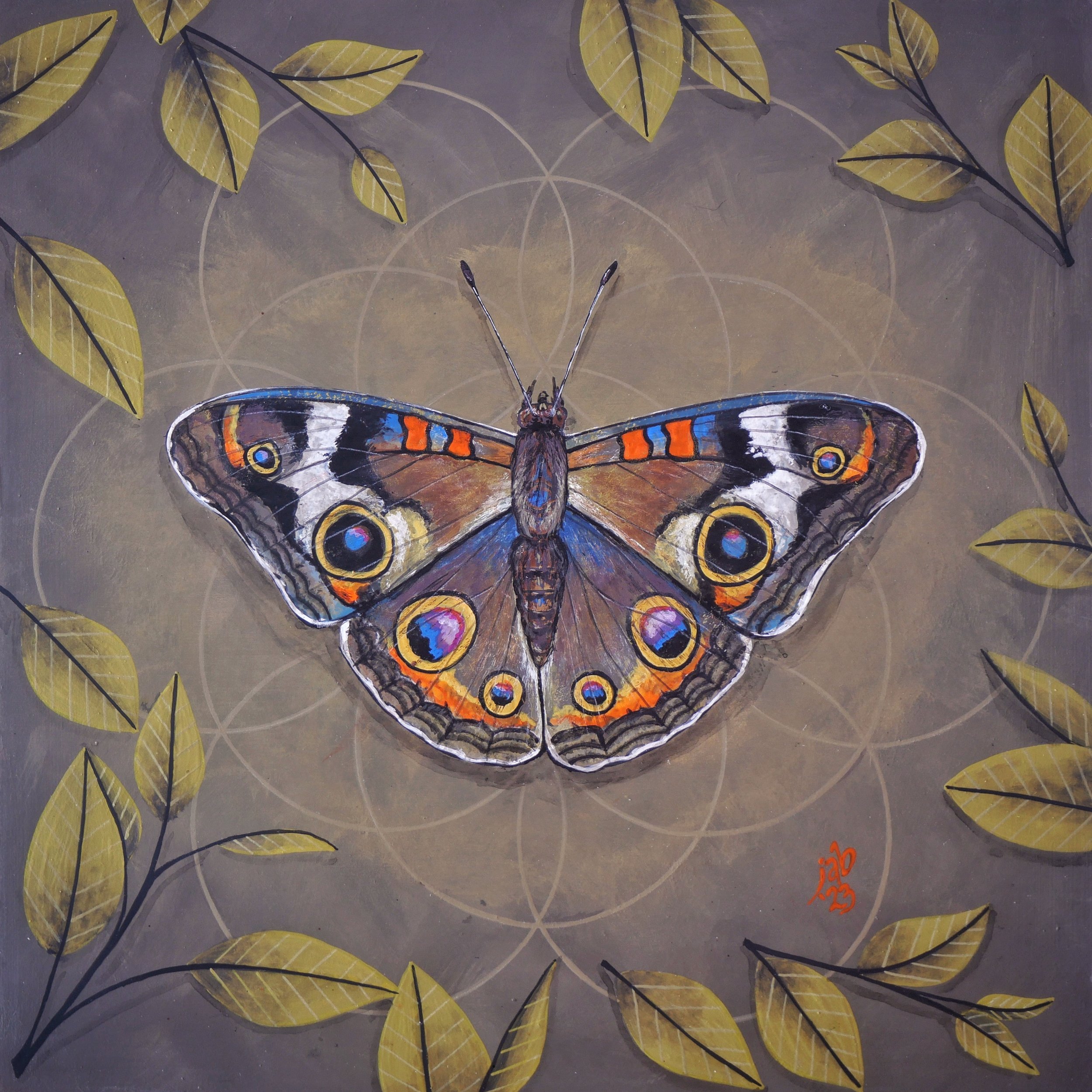 BEST P1000330-01-01.jpeg