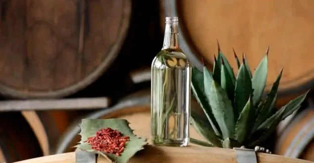 mezcal.jpg