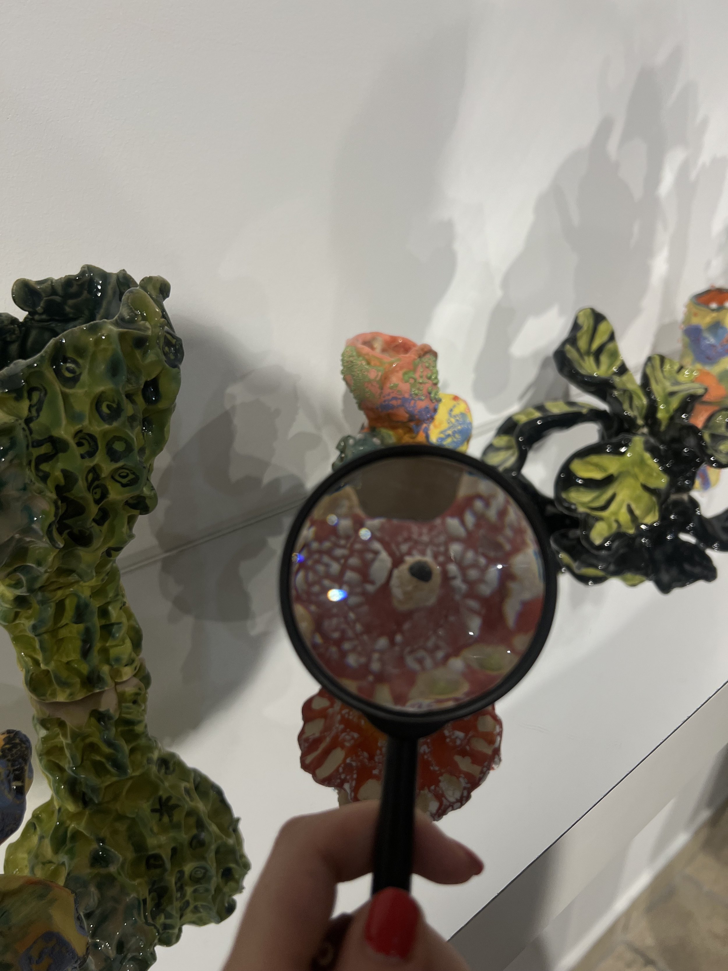 IMG_8246.jpeg