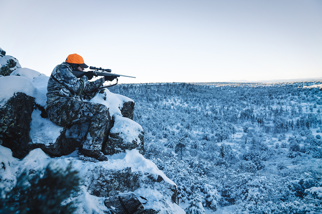 taking aim.jpg