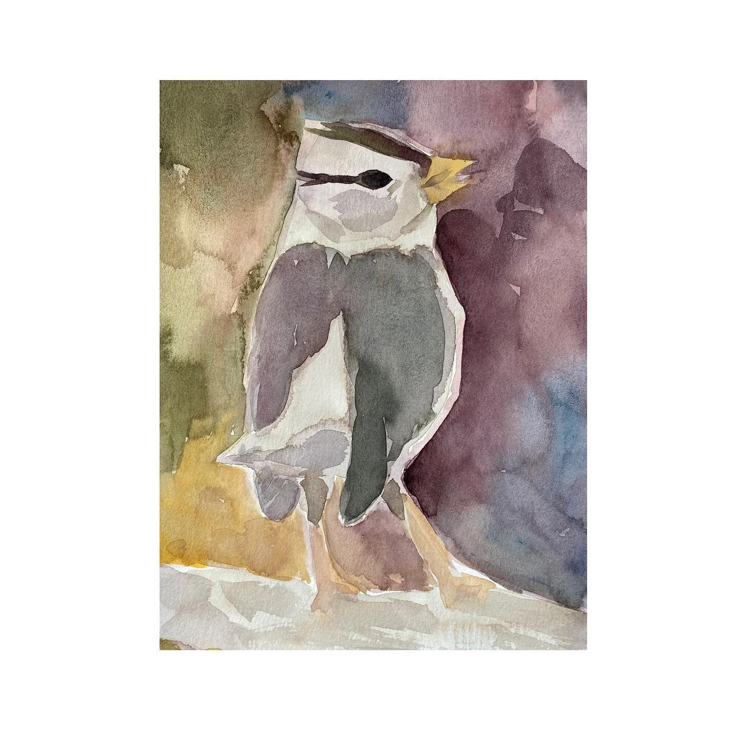 Watercolors are so great to look at up close to see how the water carried the pigments ✨🐤

➡️ swipe for detail shot 😍

#birdpaintings #watercolorillustrations #watercolorsketchbook #watercolorbirds #watercolorbird #danielsmithwatercolors #prussianb