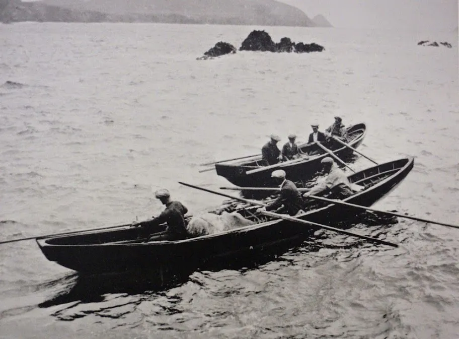 currach1.png