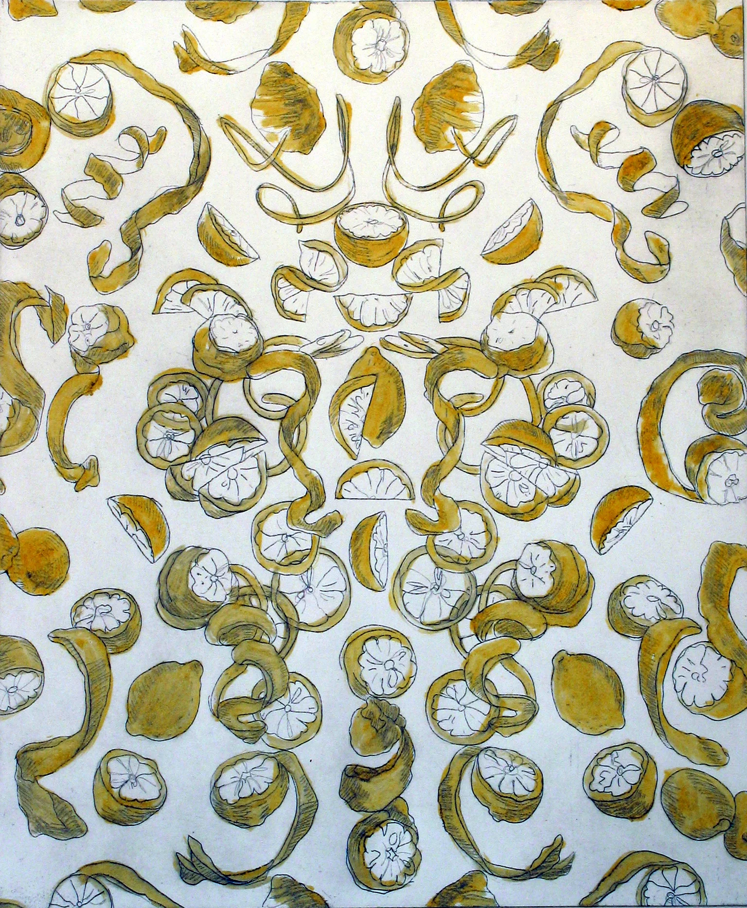 Lemonpeel Toile © 2011 Etching/Monoprint on paper 12.5 x 10"