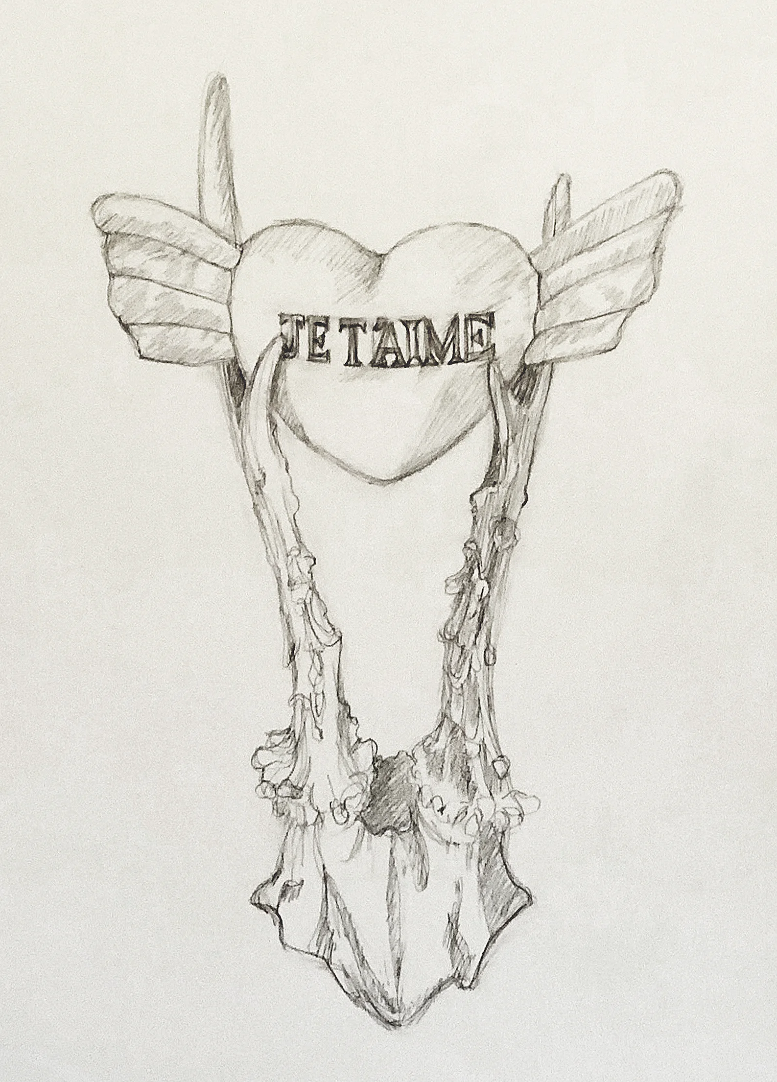 Study for Je T’aime ©2018 Graphite on paper 16” x 12”