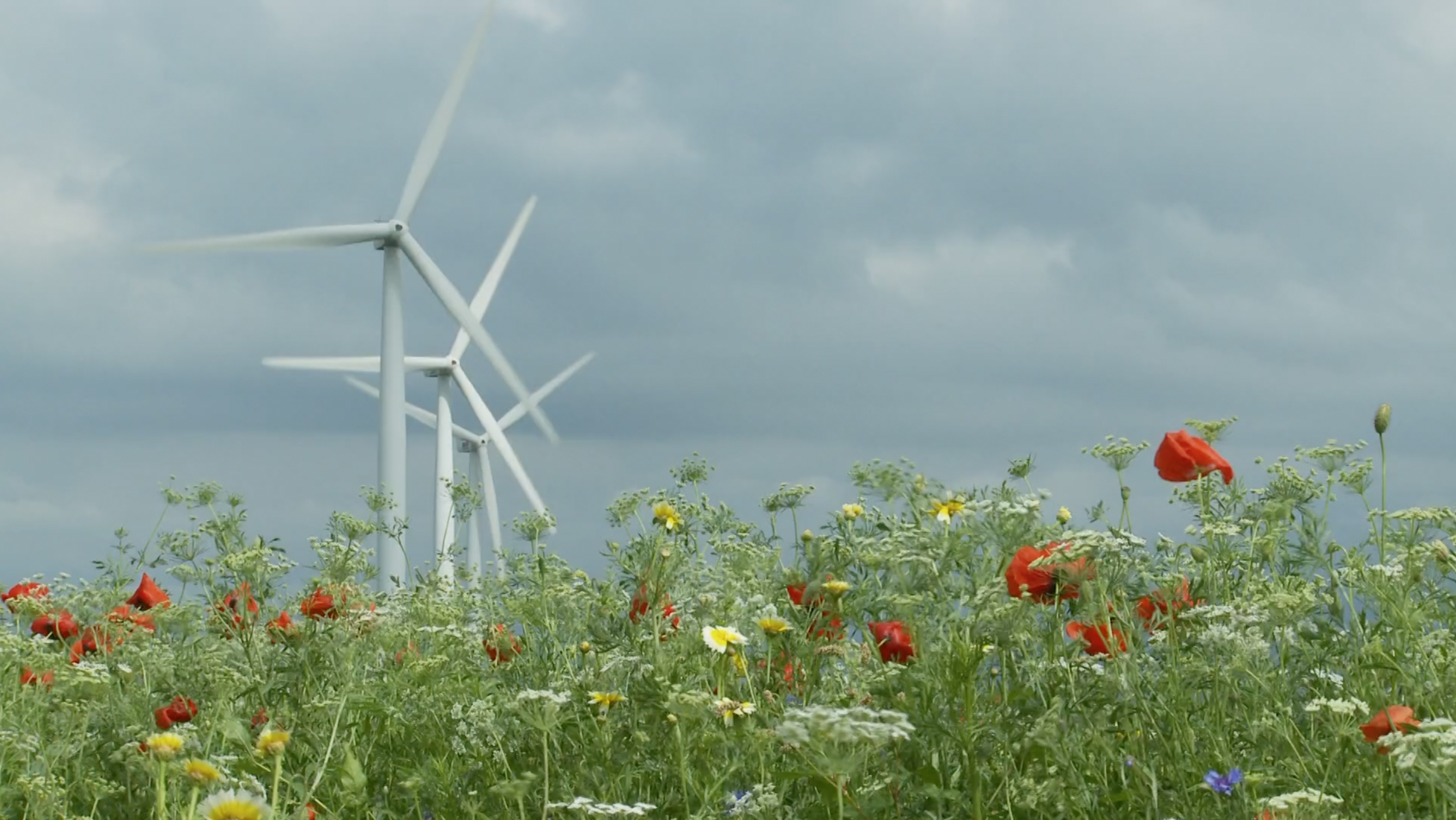 Screen Shot 2016-12-19 at 4.21.38 PM.png