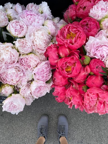 peonies.jpg