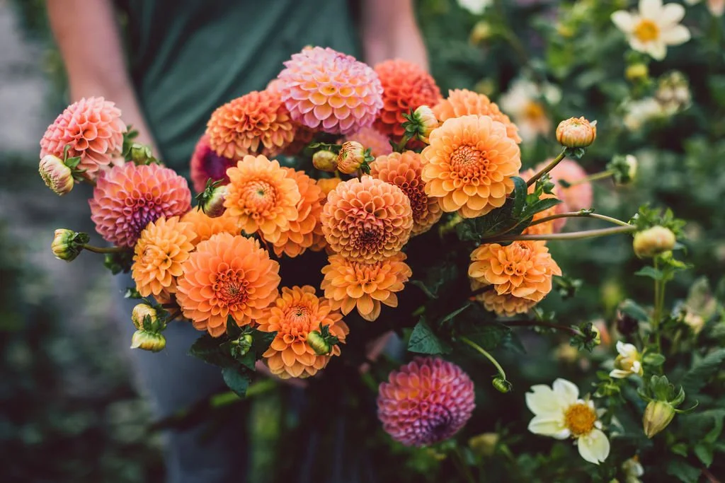 "Every bouquet is so full of not the standard flower.  I have so enjoyed them."