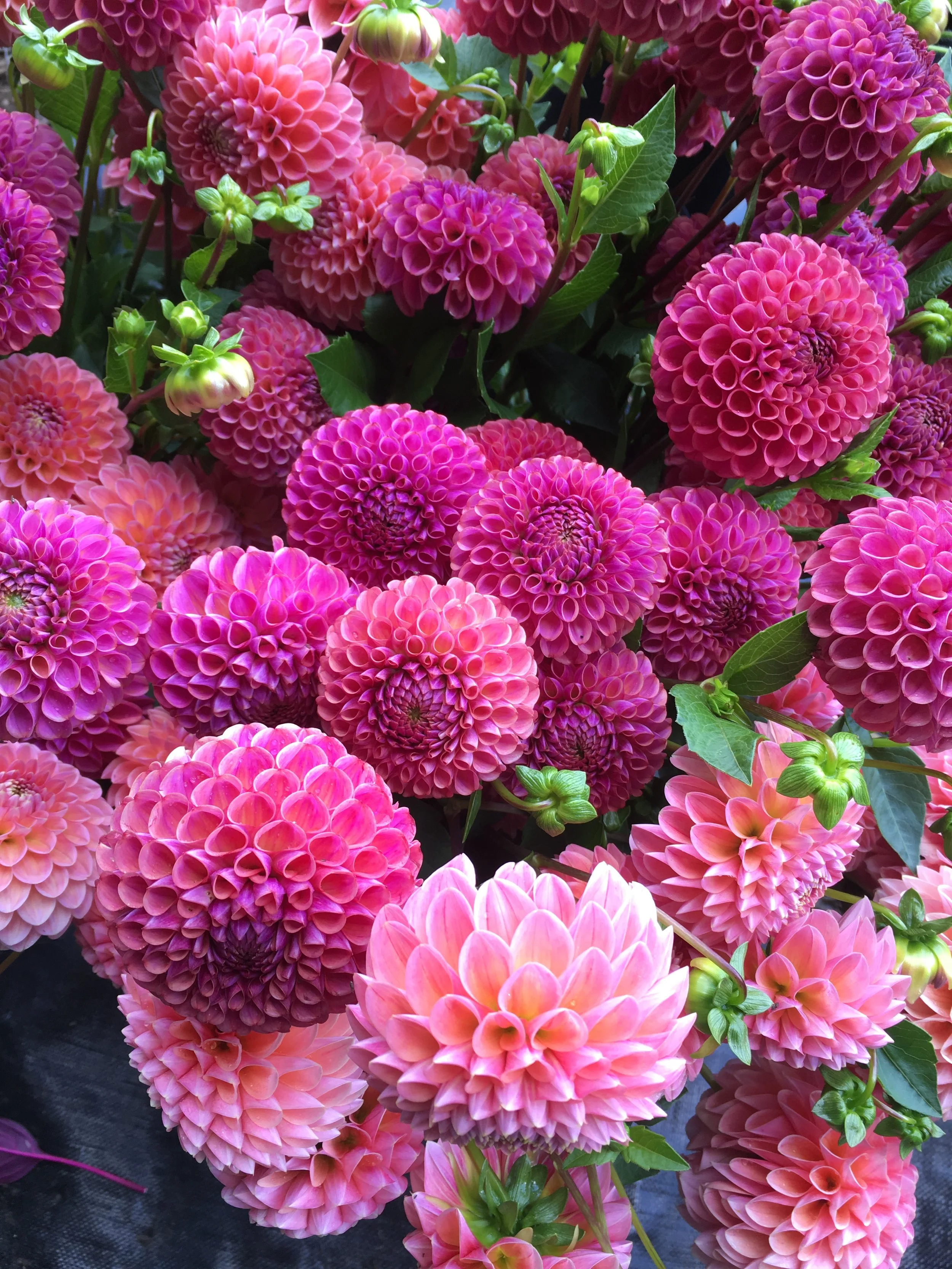 "I always say 'flowers are for the living' and I’ve already told them that this should be a repeat for Mother's day every year.”
