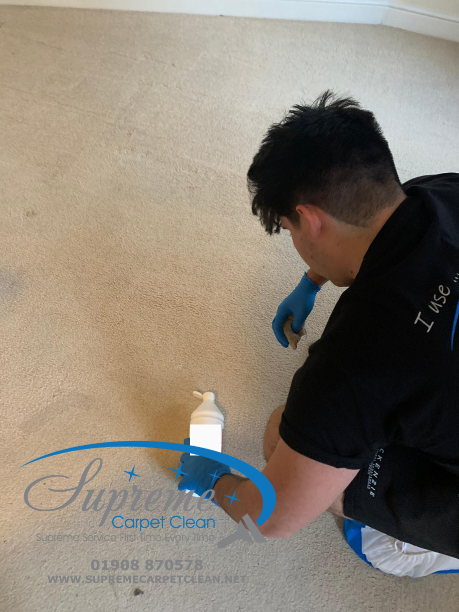 Aaron part of the Supreme Carpet Clean team completing a spot and stain removal on a carpet in Bedford