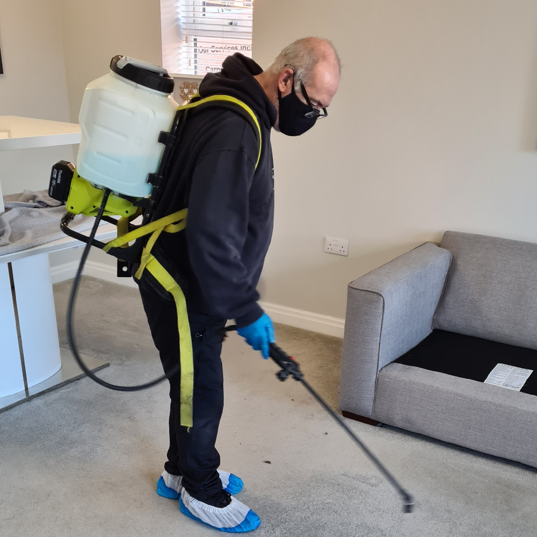 hot water extraction carpet cleaning in olney