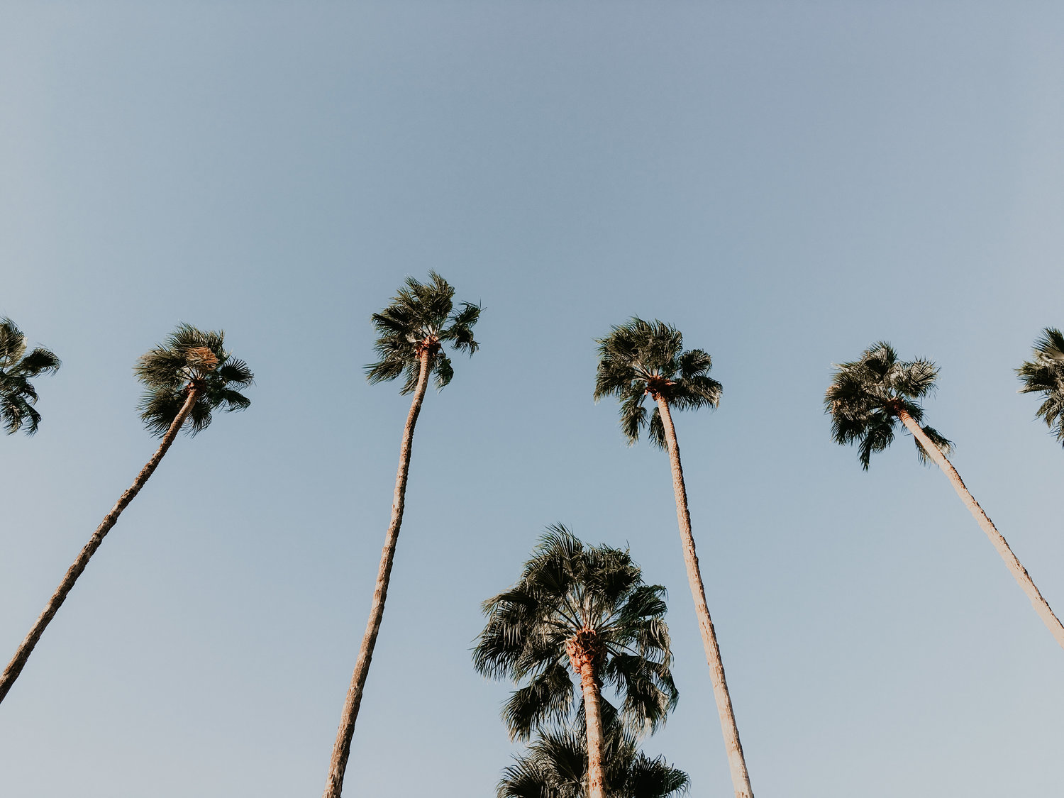 annabellepaulinephoto-38.jpg