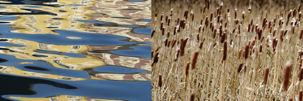 Wastewater Treatment
