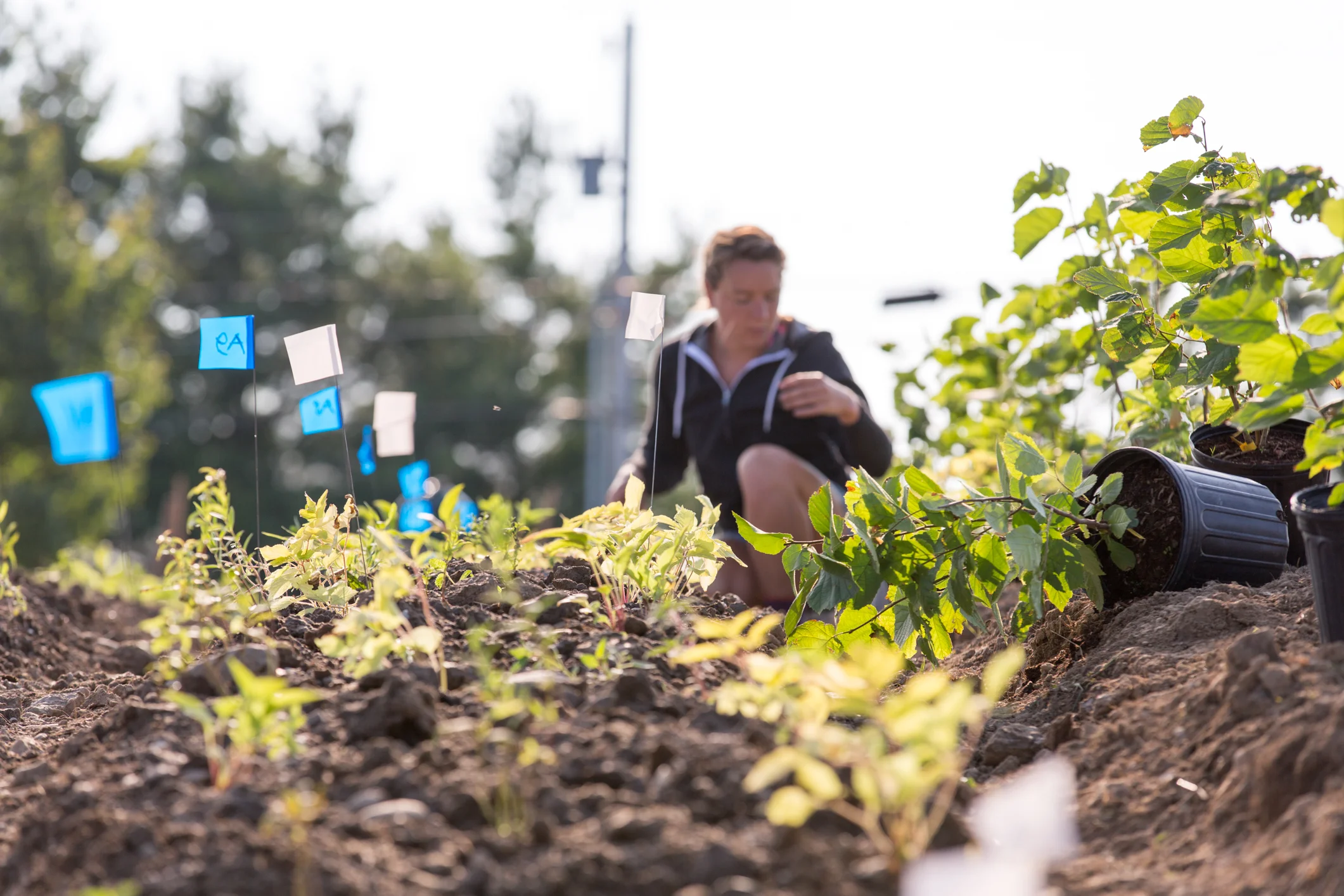 Creating Successful Agricultural Businesses Part 1 — BioLogical Capital