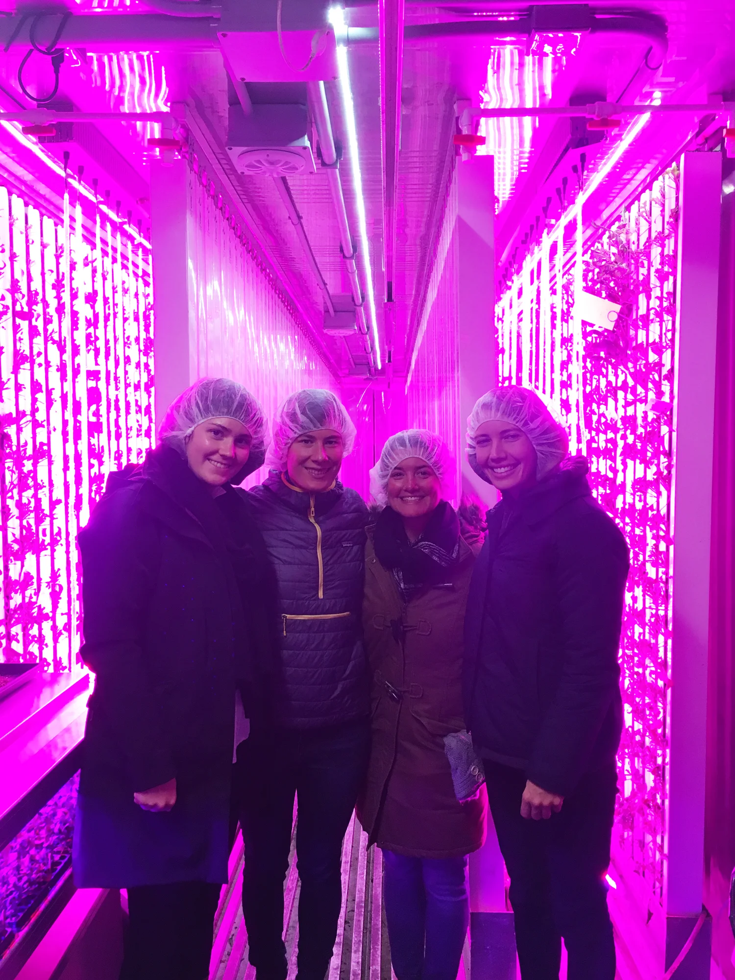 BLC team members Olivia, Meriwether, Kristen and Philo Ridge Farm Market Garden Manager Jane Engelman (second from right).