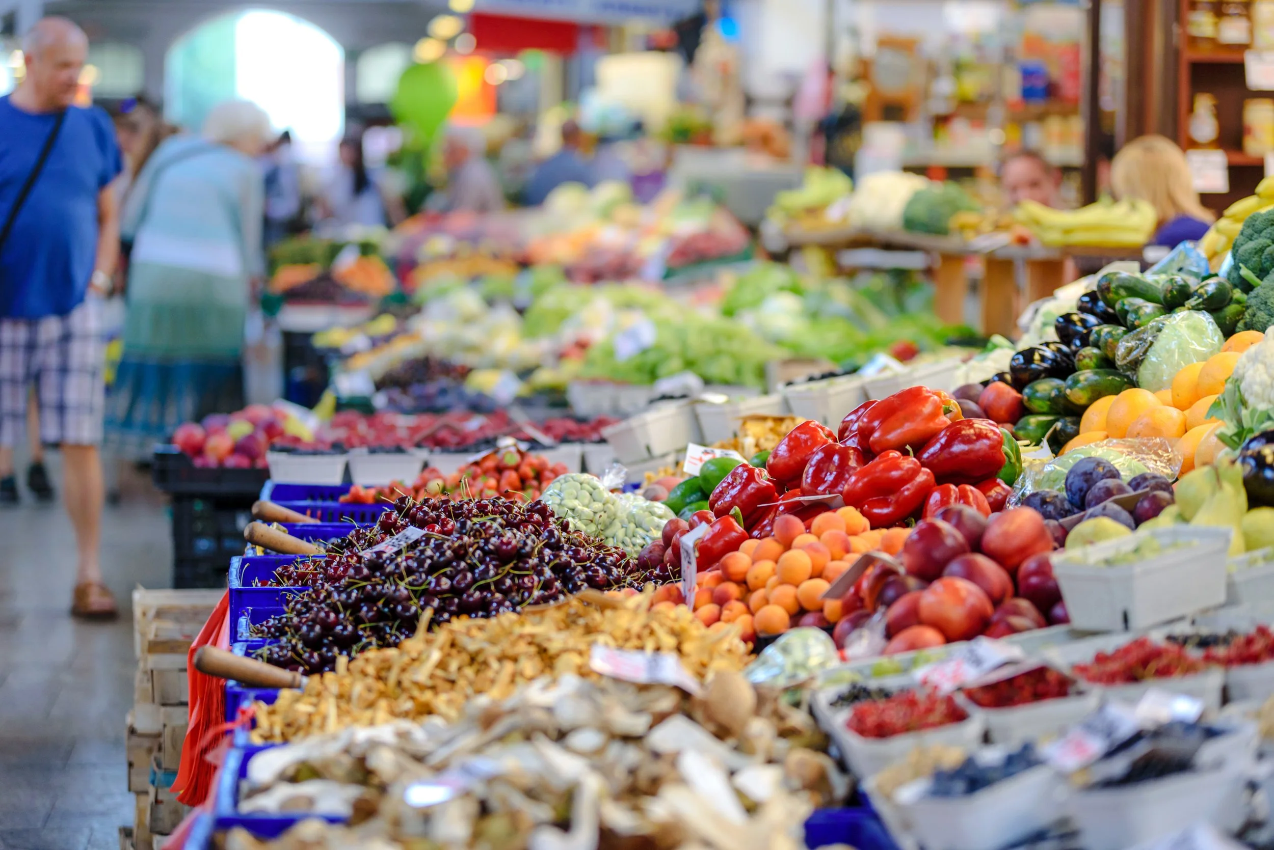 Surrounding the town, we envision diverse local food production.