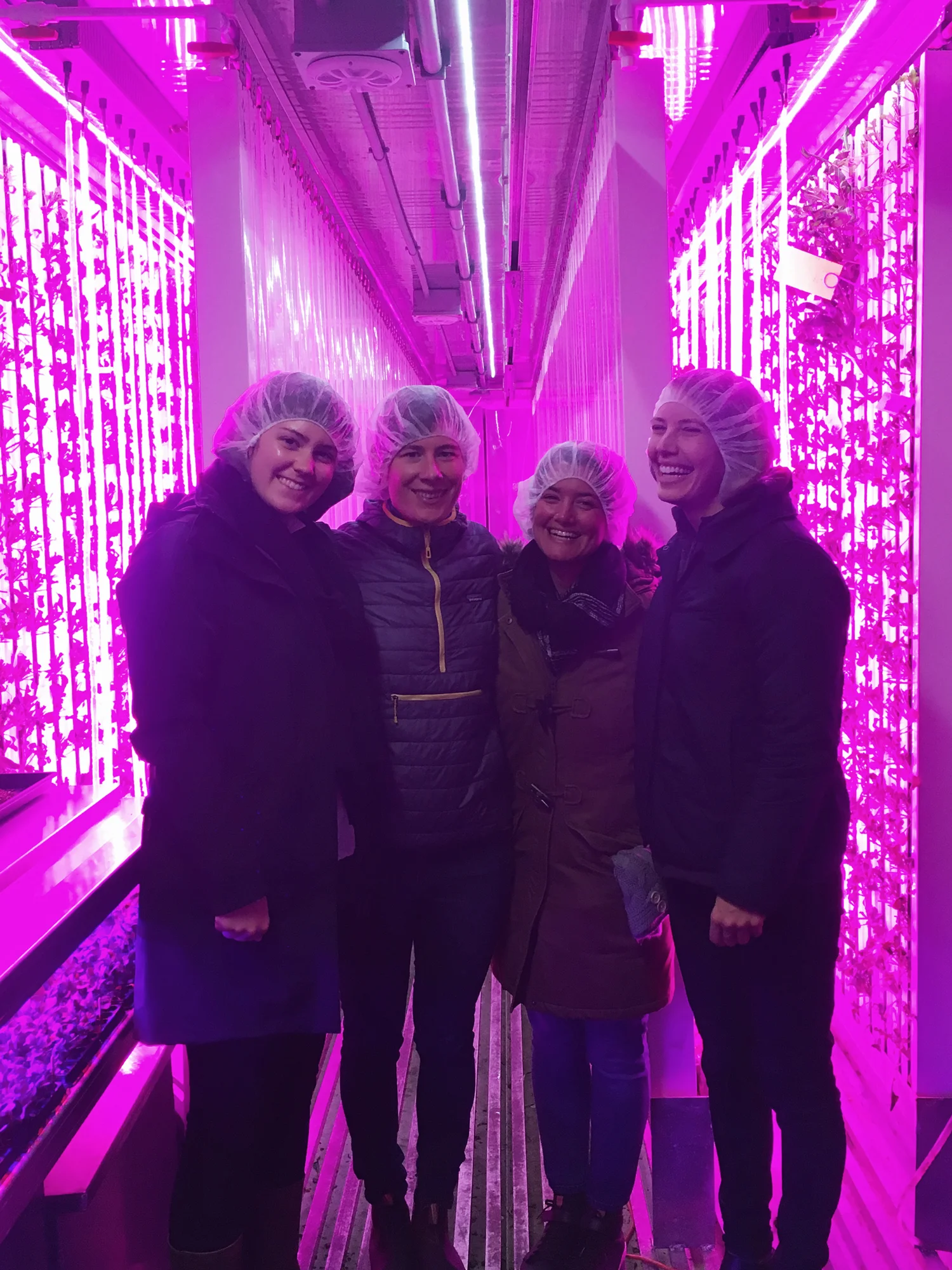 Olivia, Meriwether, Kristen touring Square Roots in Brooklyn in January with Jane from Philo Ridge Farm. Read about our trip here .