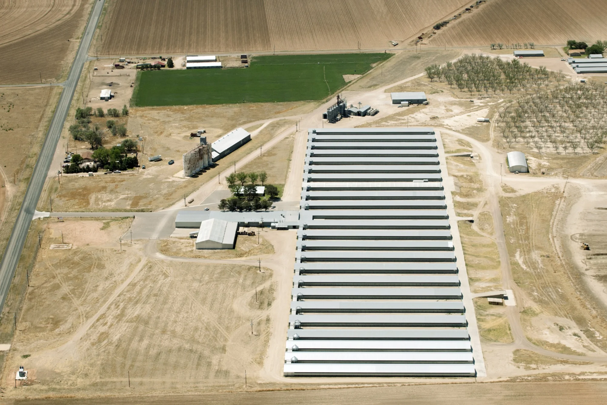Organic chicken farm photo courtesy of the Cornucopia Institute.