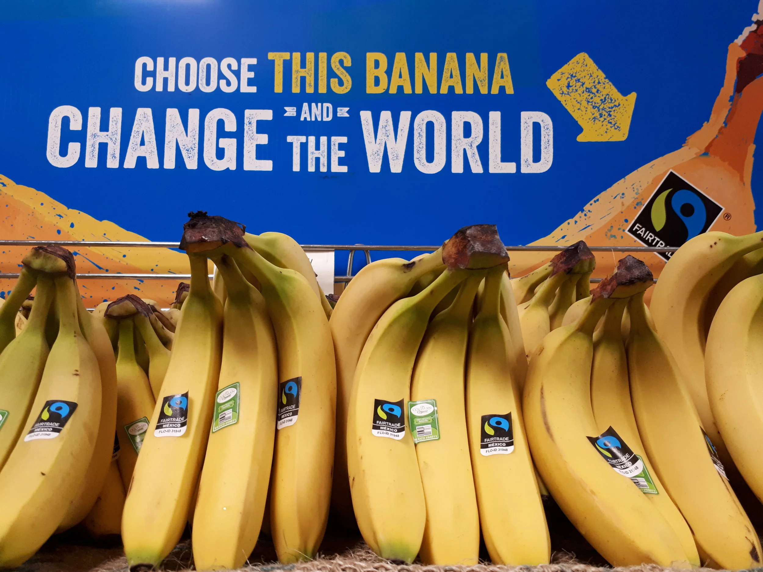 Bananas.jpg