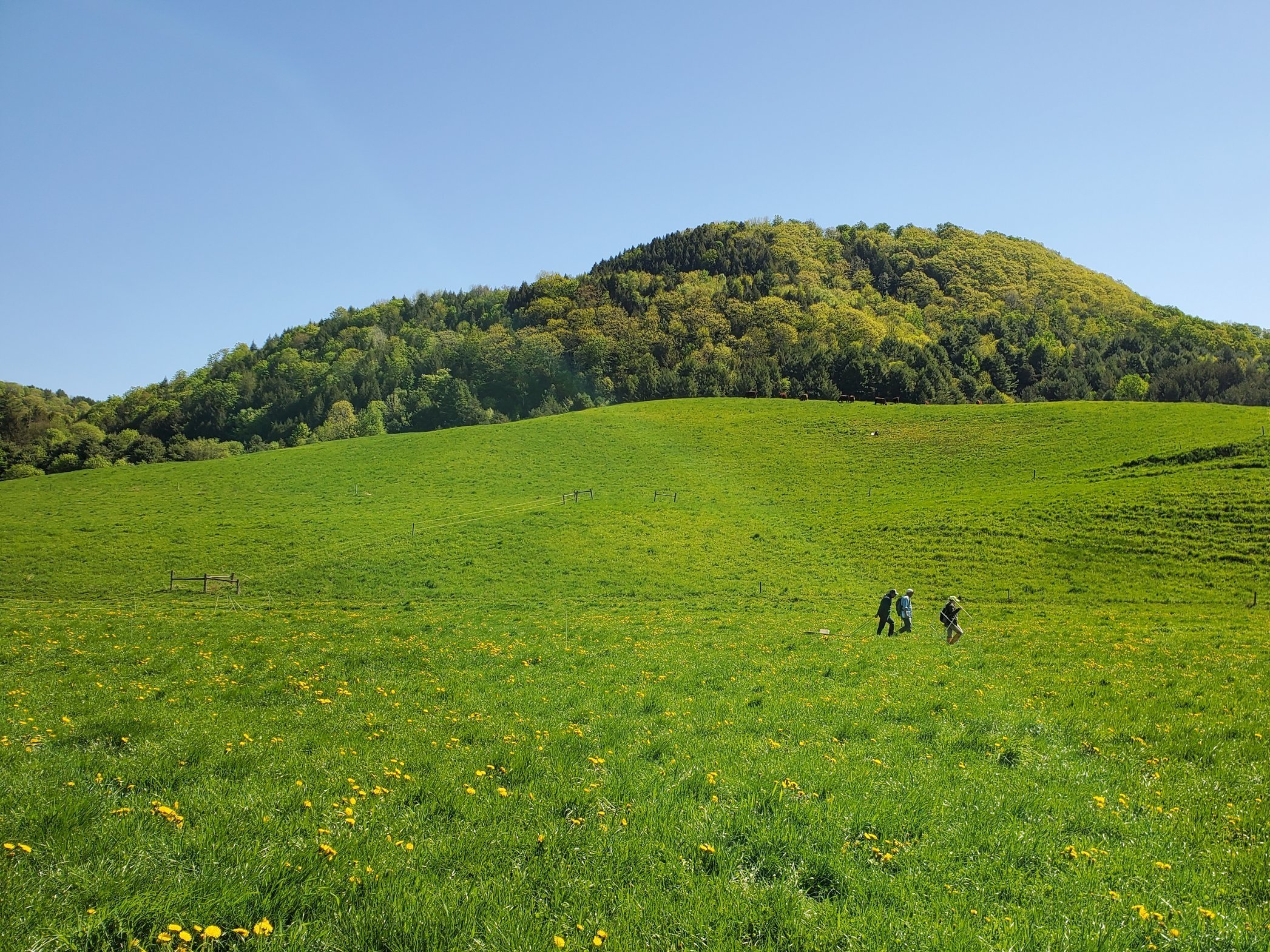 We did a lot in 2022