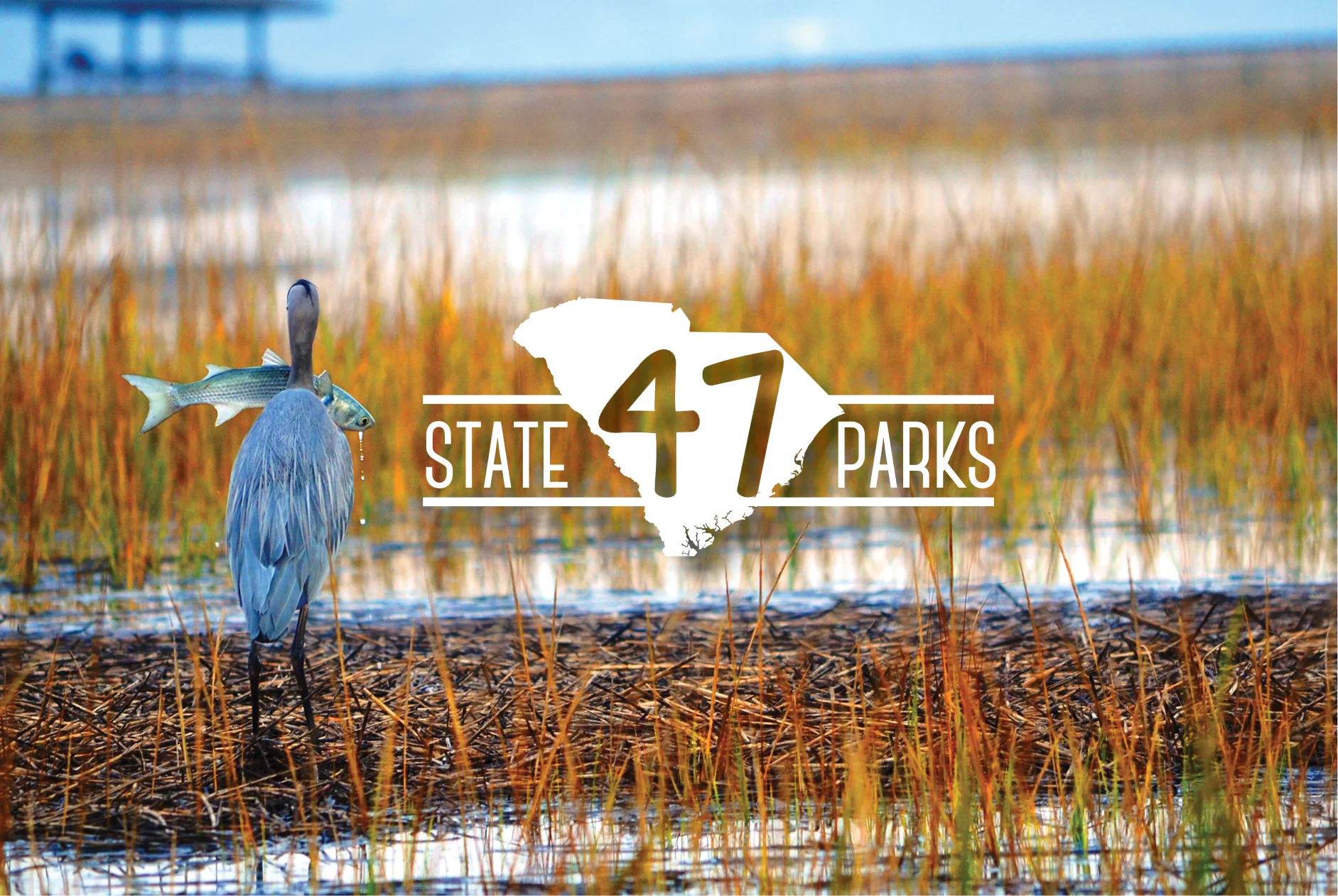 47 State Park.jpg