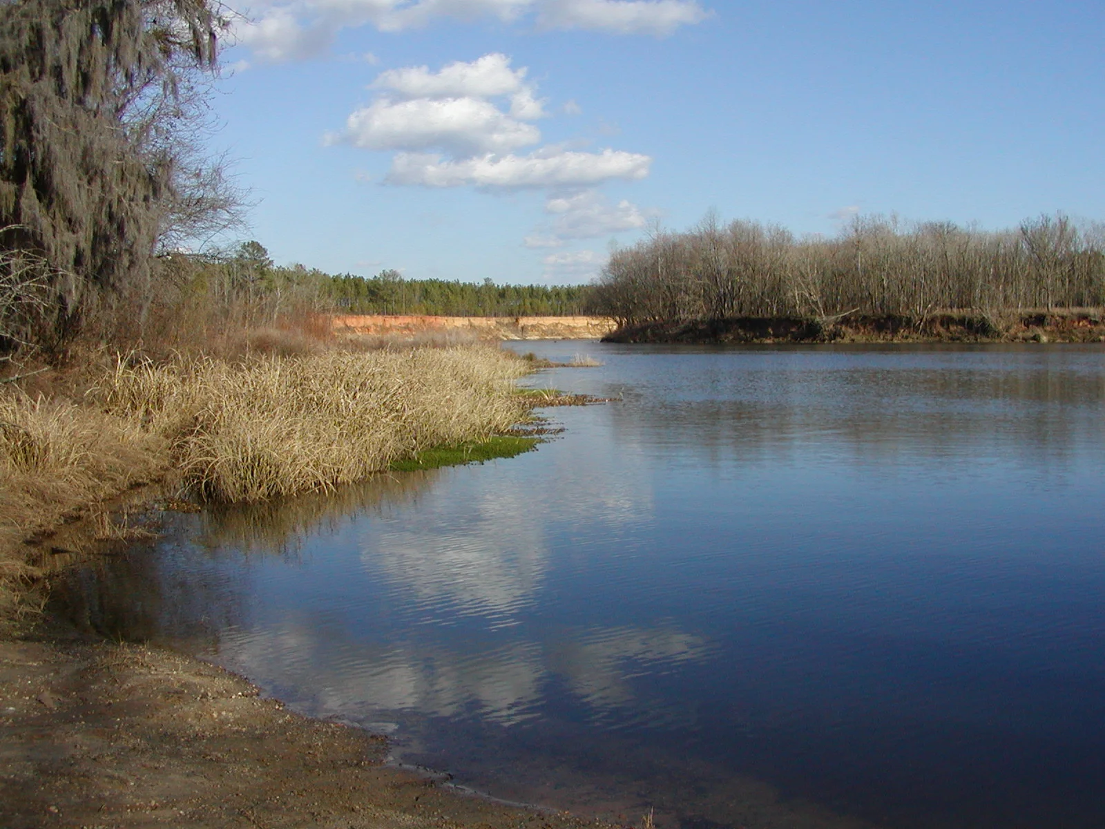 Silver Bluff Audubon Sanctuary