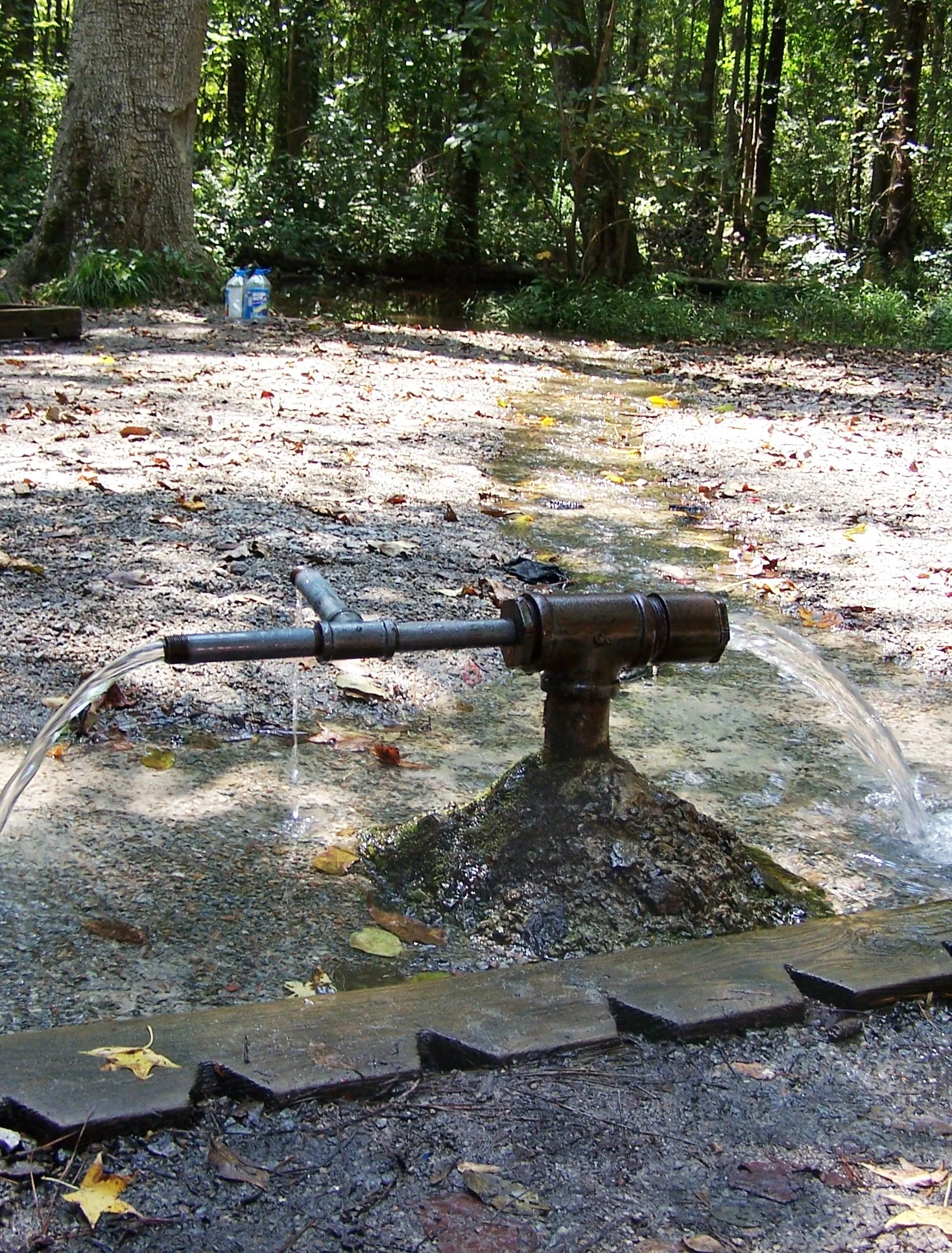 Healing Springs