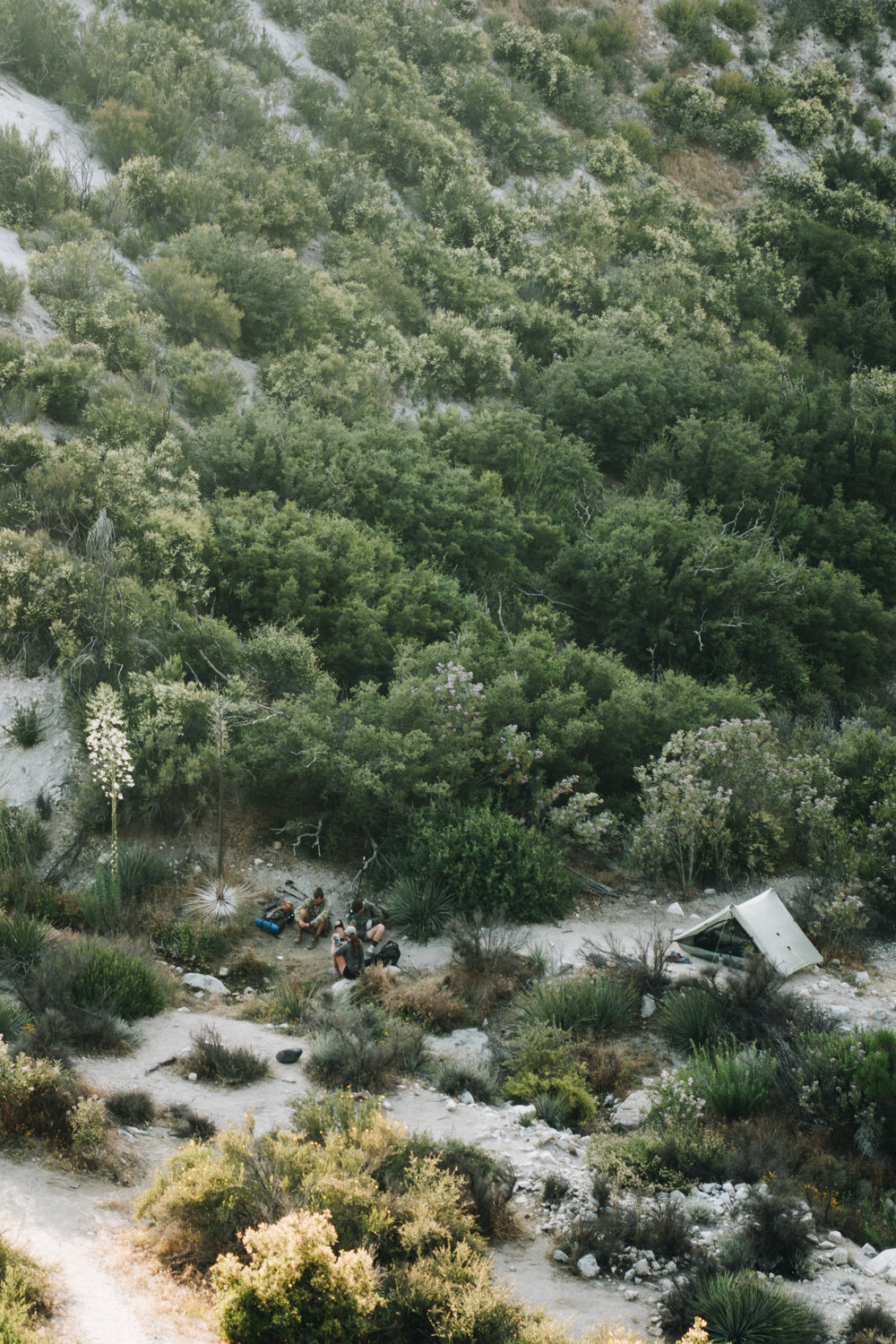 PCTdesert_1091.jpg