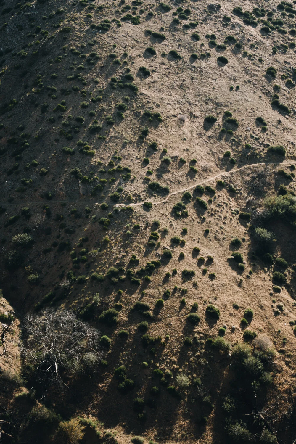 PCTdesert_1457.jpg