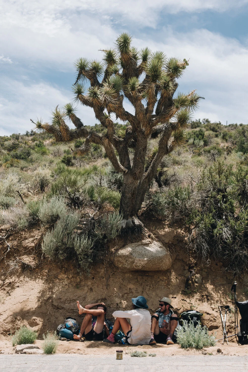 PCTdesert_1529.jpg