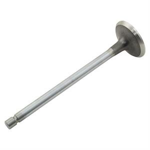 Intake Valve (Cummins) 5.9