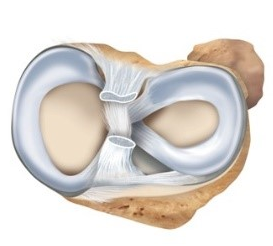 image2.png