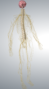 image1 (1).png