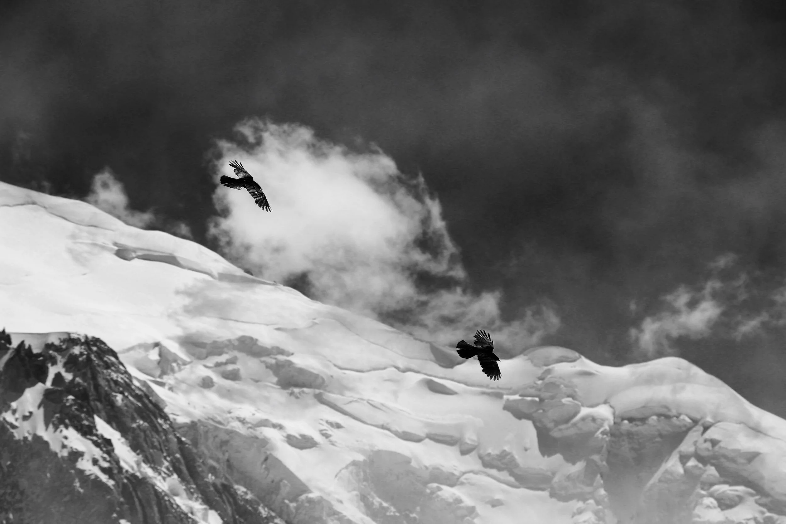 Blog Banner 2.jpg