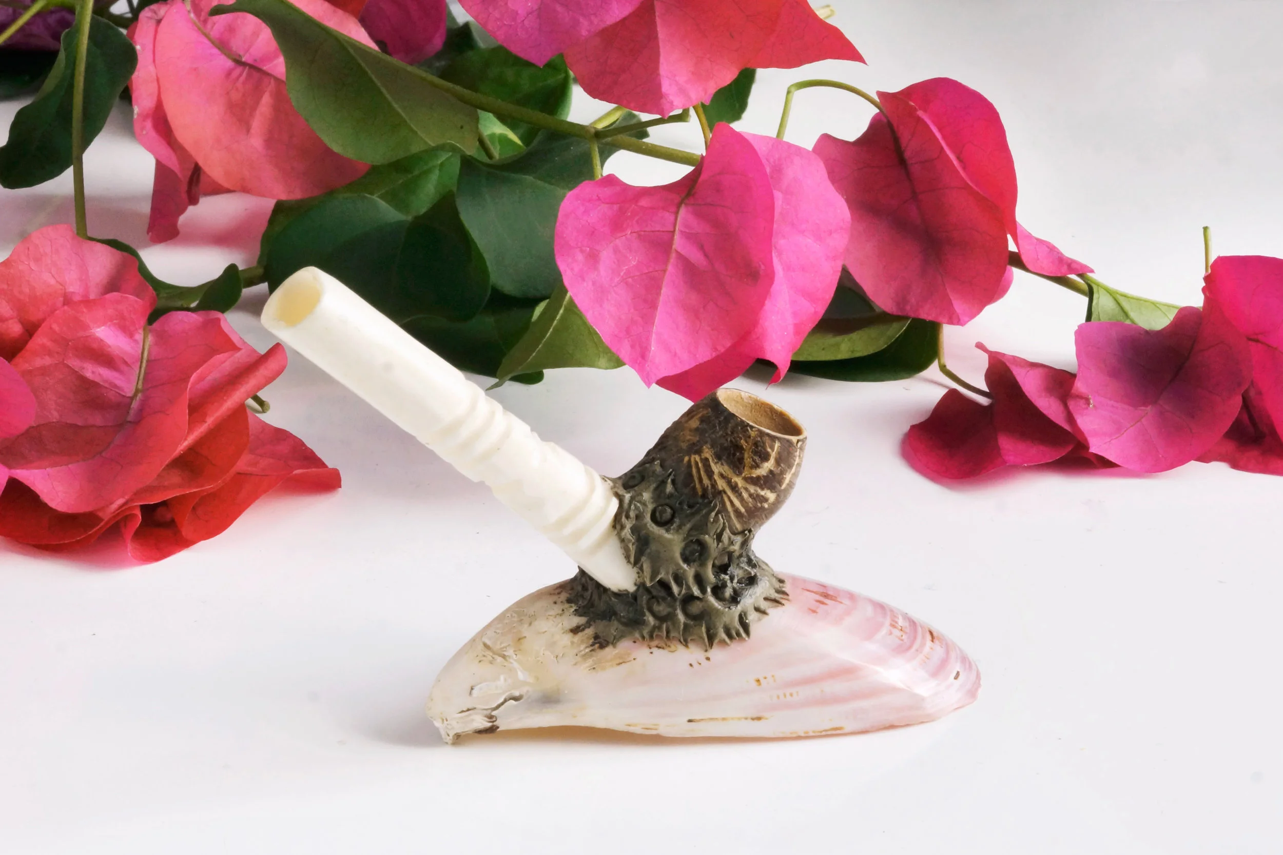 shell pipe_2.jpg