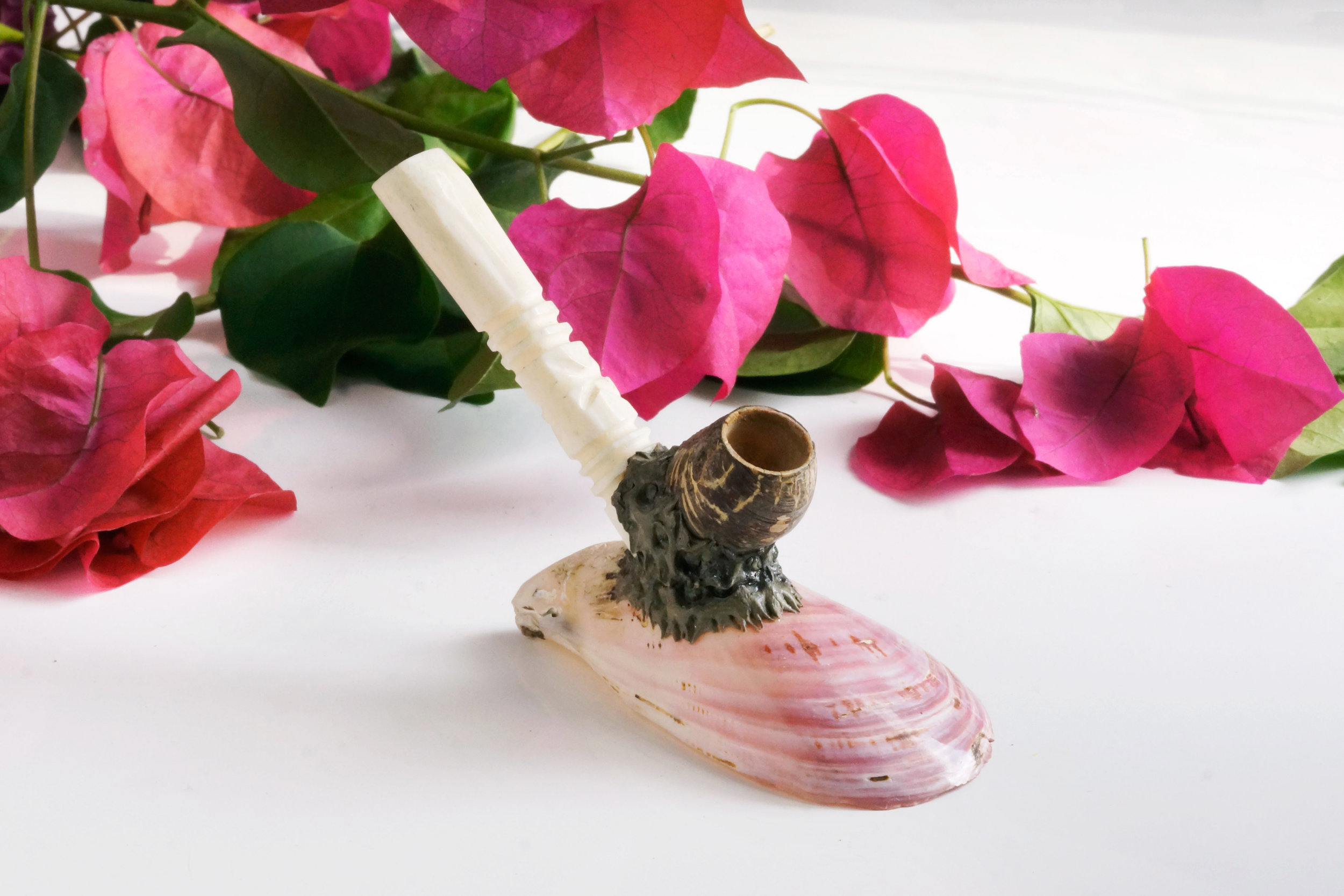 shell pipe_1.jpg