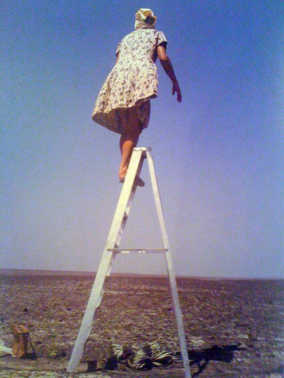 Maria Reiche atop one of the ladders she used to study and map the Nazca lines in Peru. Photo by Bruce Chatwin.