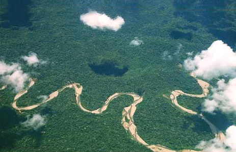 An Aerial View of the Amazon weaving its way through the manu reserve