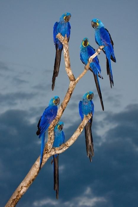 Bird watching in the sacred valley