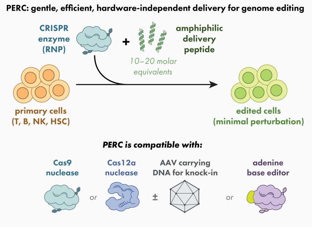 PERC — Wilson Lab