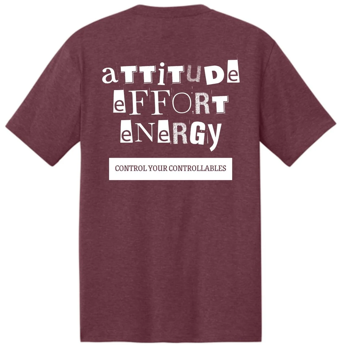 BMS attitude DM130 maroon back proof.jpg