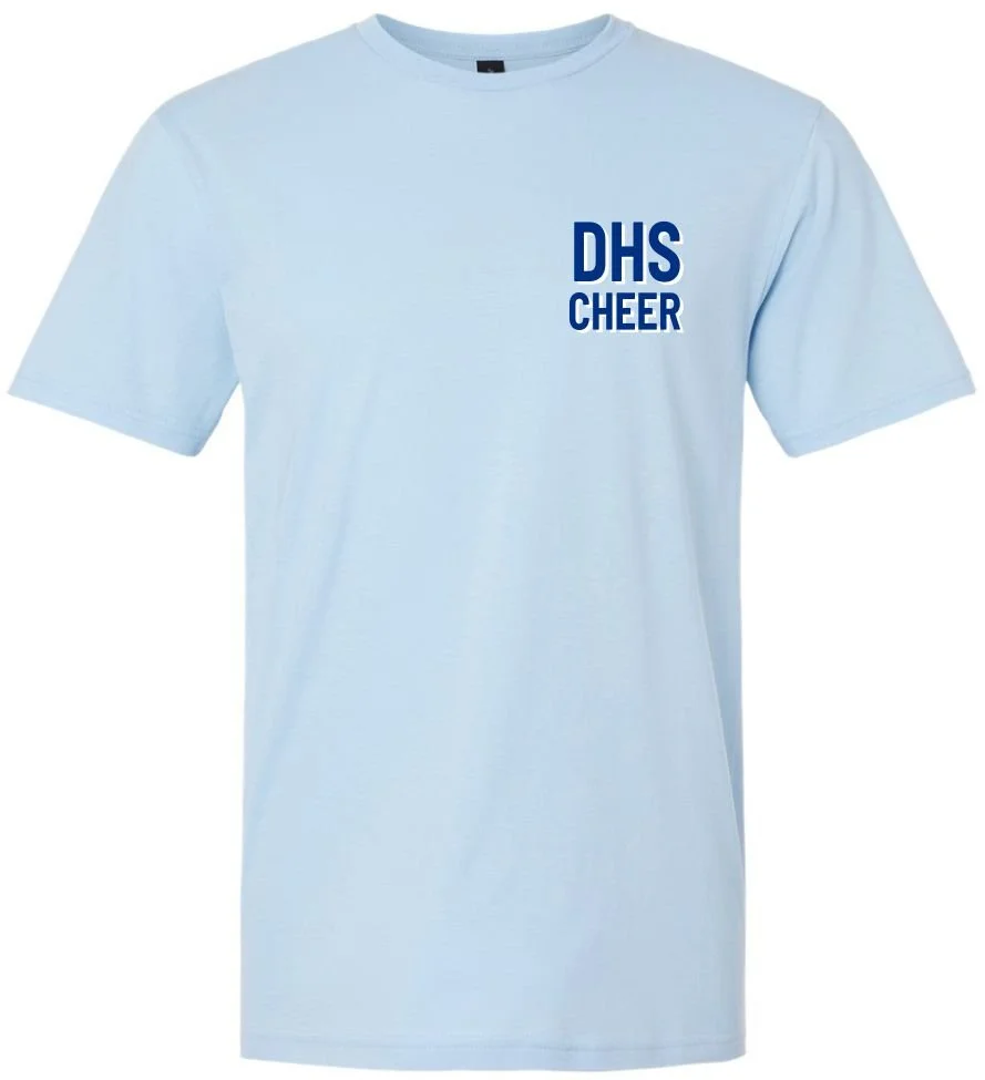 dhs cheer front website.jpg